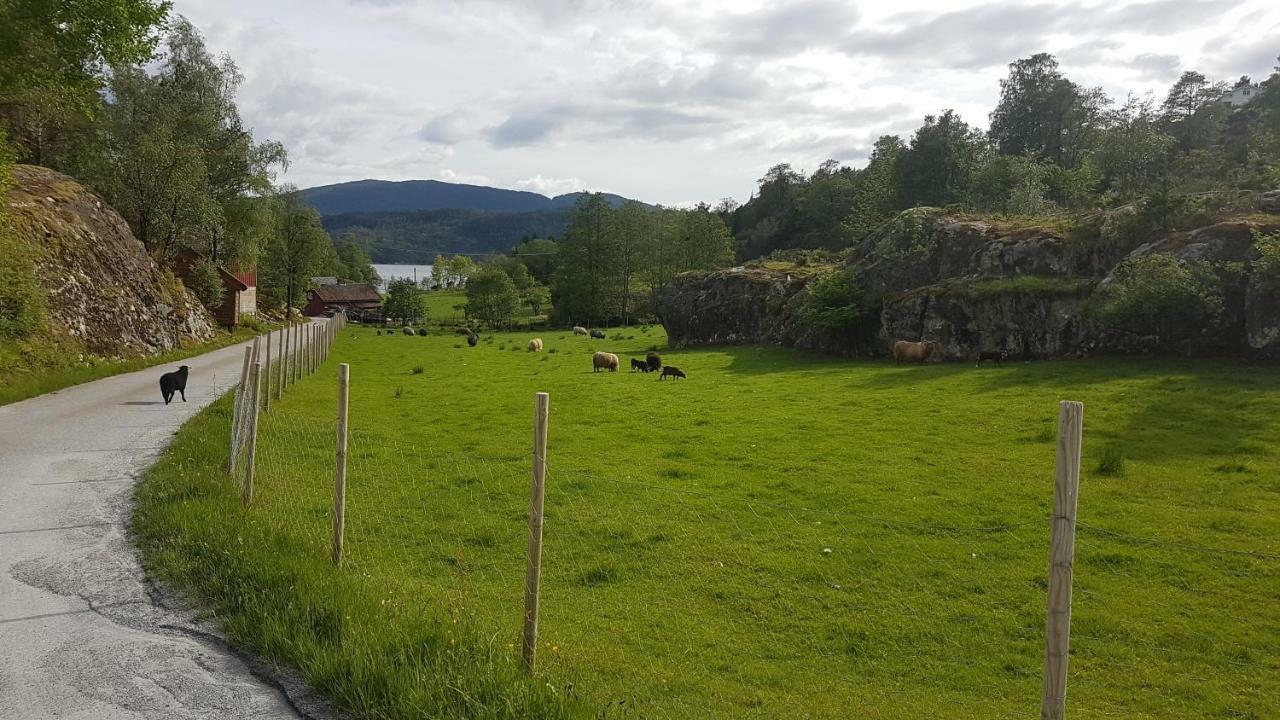Ostereidet Molvik Hytten 빌라 외부 사진