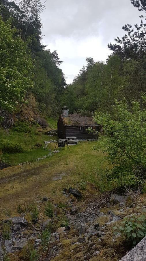 Ostereidet Molvik Hytten 빌라 외부 사진
